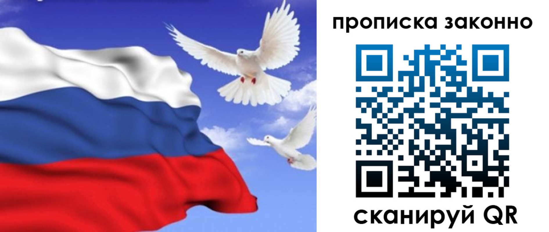 прописка в Богородске